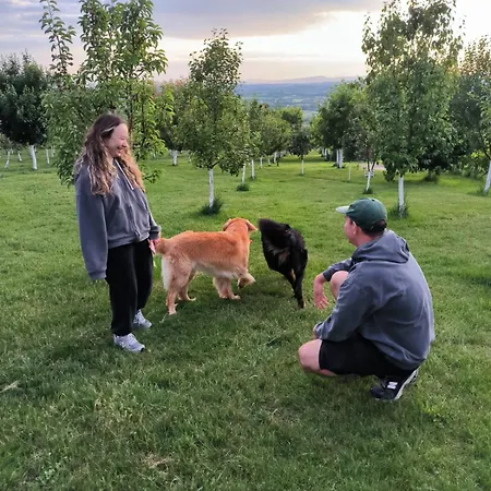 酒店 Cider&squash, Grncarska 8, Prnjavor *