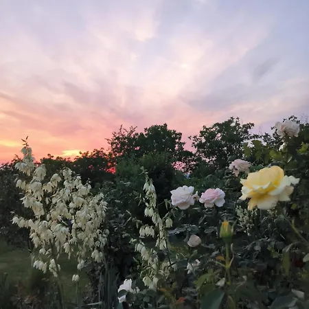 Cider&squash, Grncarska 8, Prnjavor 酒店 *