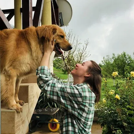 Cider&squash, Grncarska 8, Prnjavor 酒店 Batocina