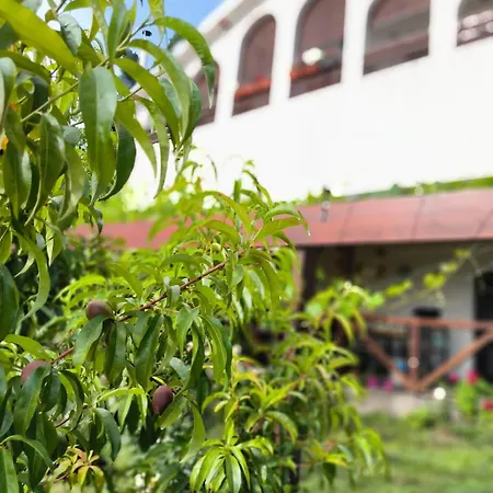 Hotel Cider&squash, Grncarska 8, Prnjavor