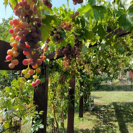 酒店 Cider&squash, Grncarska 8, Prnjavor *