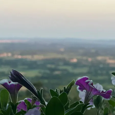 Cider&squash, Grncarska 8, Prnjavor Batocina