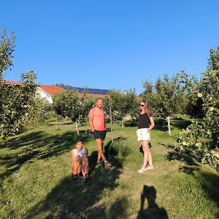 Cider&squash, Grncarska 8, Prnjavor