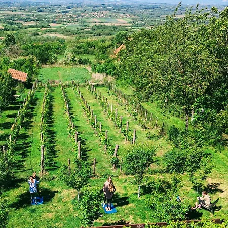 酒店 Cider&squash, Grncarska 8, Prnjavor Batocina